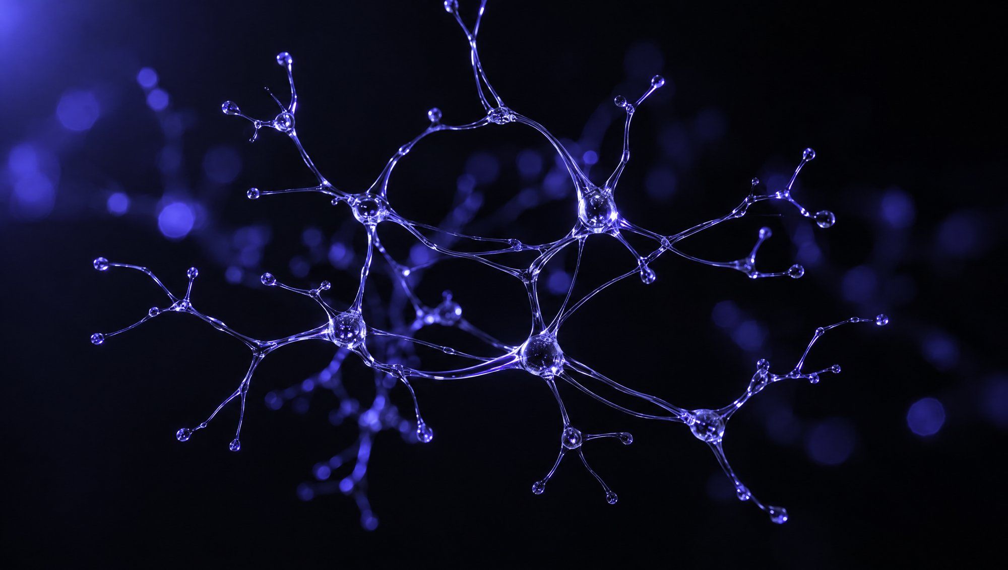 A sculpture of thin branching clear glass filaments, like a network of nerve cells, glowing at the edges in indigo light against black.